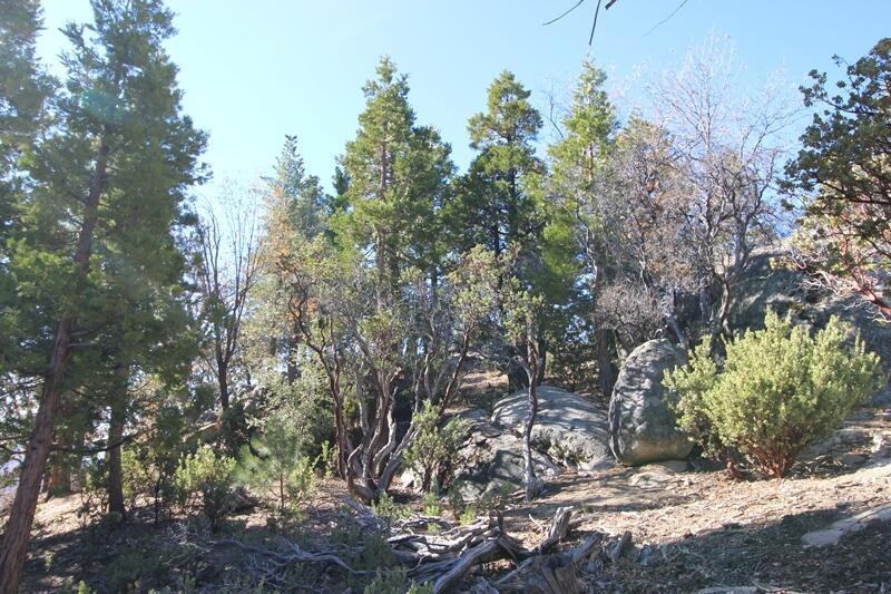 0 Gibbs-gully Property Photo 5