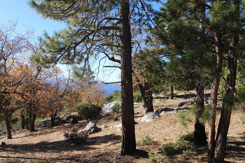 0 Gibbs-gully Property Photo 12