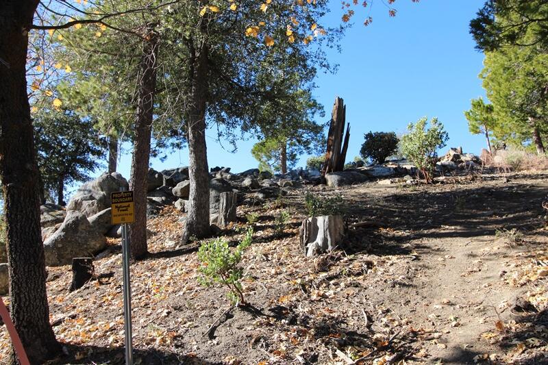 0 Gibbs-gully Property Photo 15