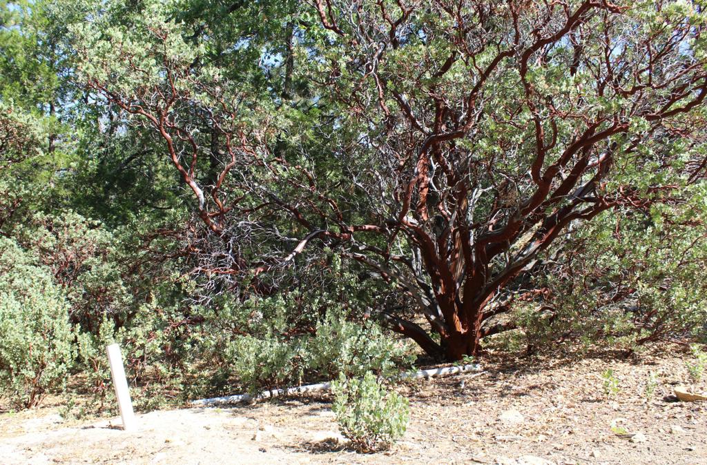 0 Gibbs-gully Property Photo 16