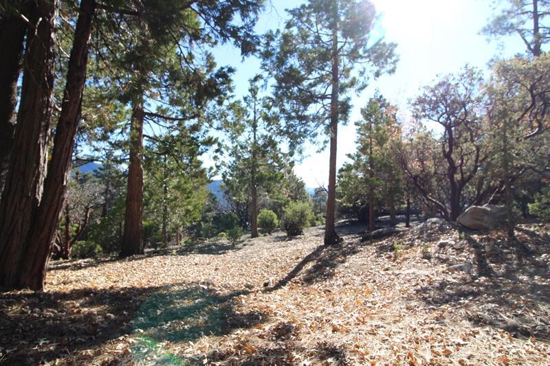 0 Gibbs-gully Property Photo 21