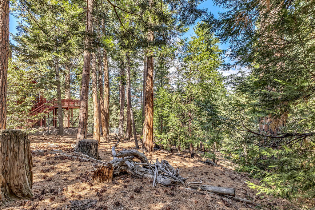 52680 Pine Ridge Road Property Photo 9