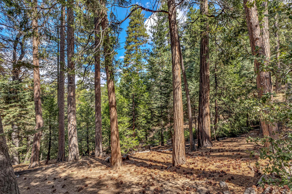 52680 Pine Ridge Road Property Photo 10