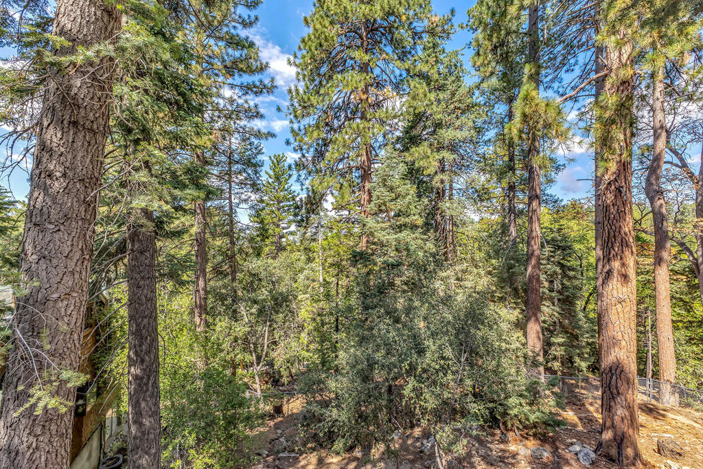 52680 Pine Ridge Road Property Photo 42