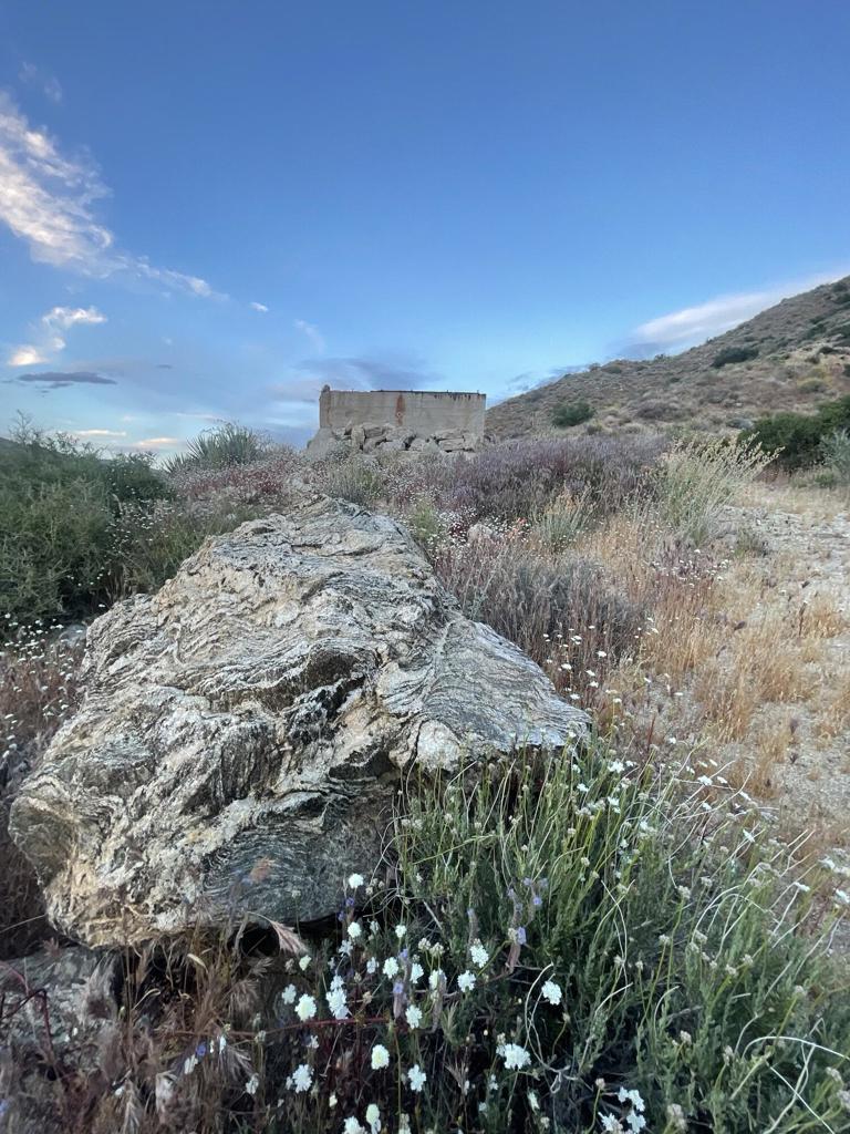 52073 Canyon Rd Road Property Photo 11