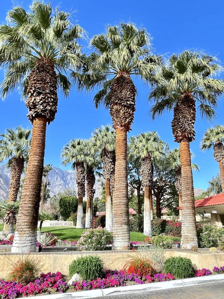 2822 N Auburn Court 210 Property Photo 24