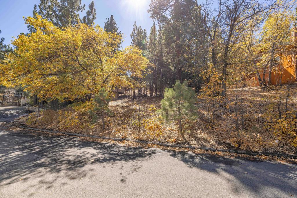1409 Klamath Road Property Photo 2