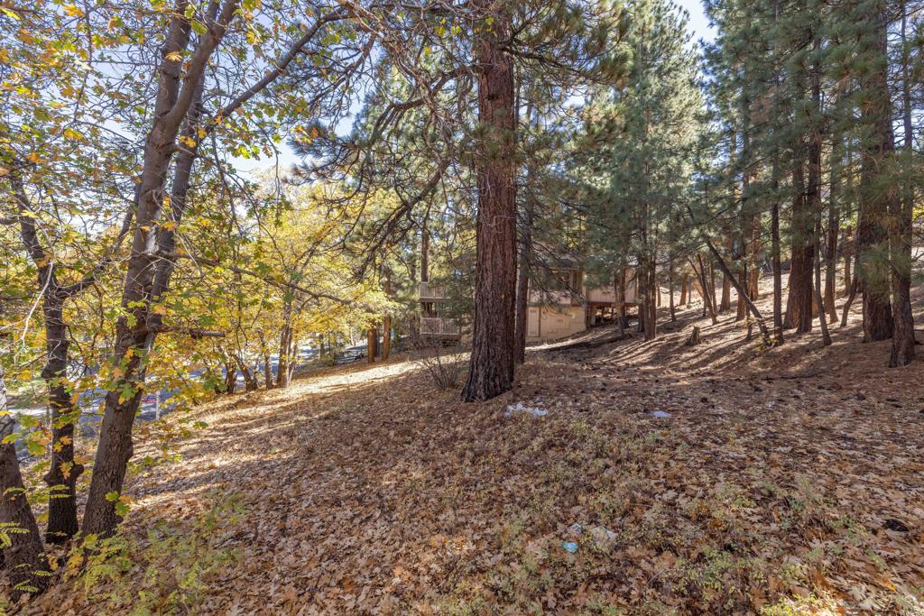 1409 Klamath Road Property Photo 3