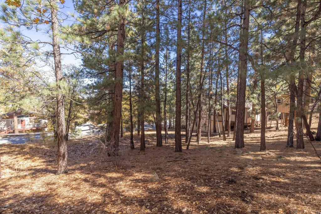 1409 Klamath Road Property Photo 4