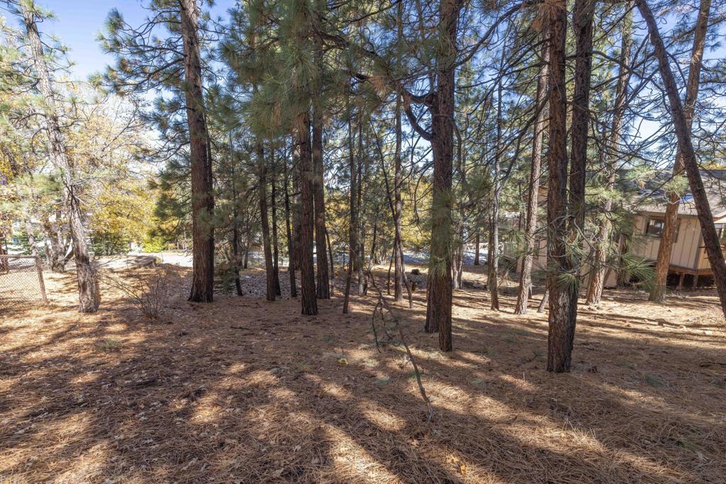 1409 Klamath Road Property Photo 5