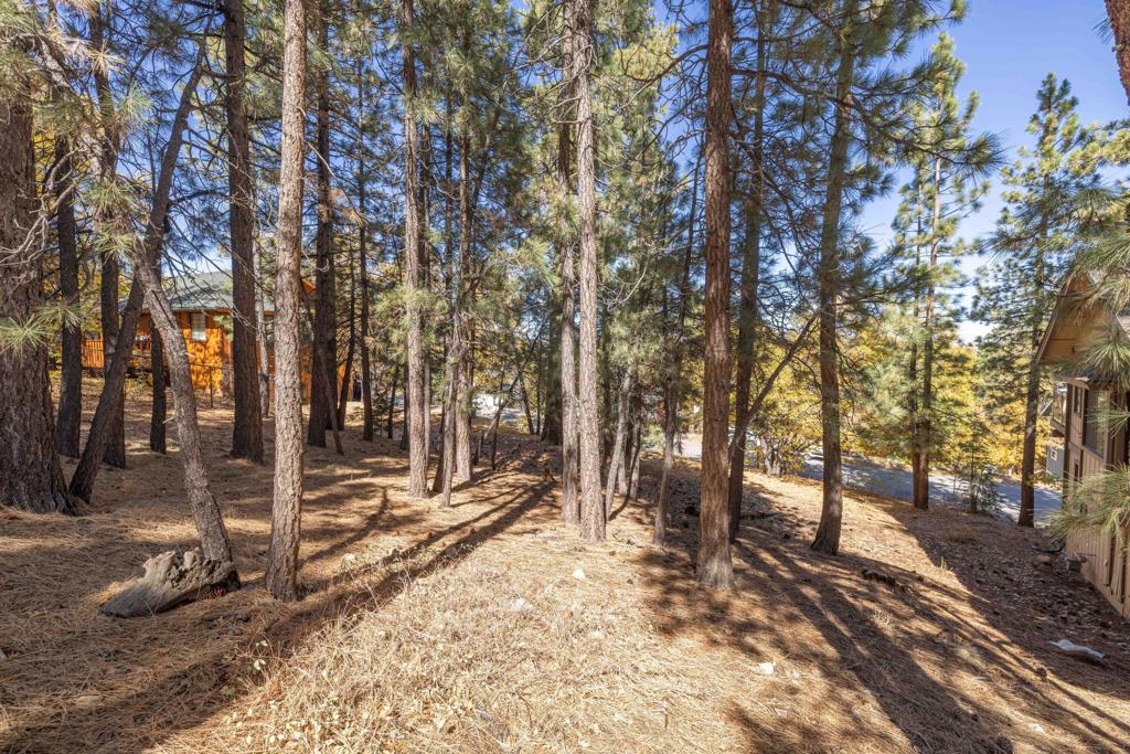 1409 Klamath Road Property Photo 6