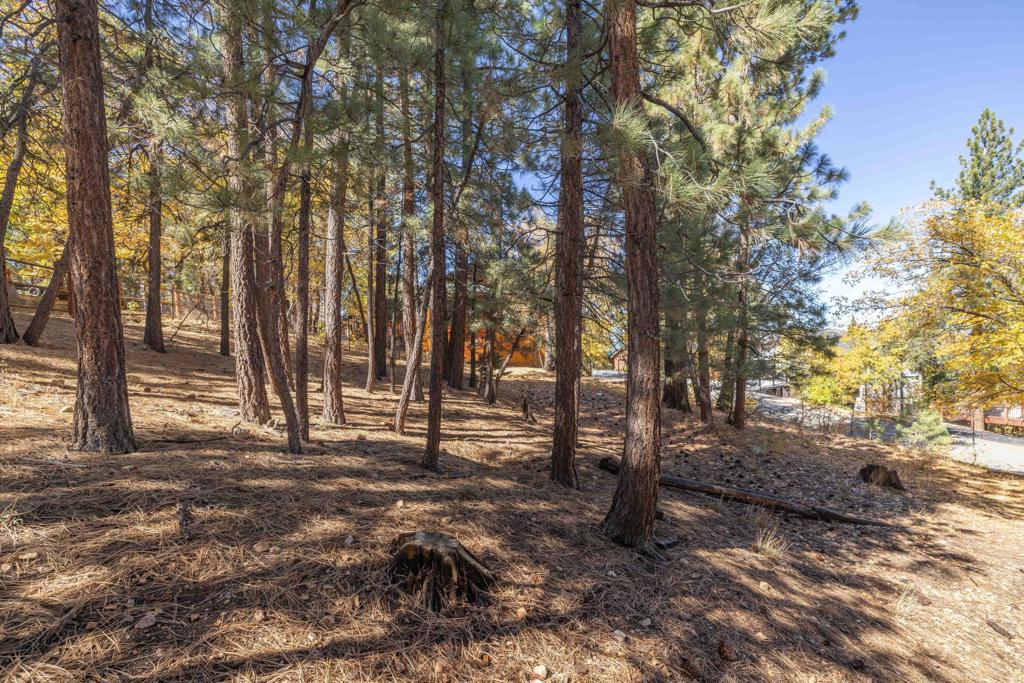 1409 Klamath Road Property Photo 7