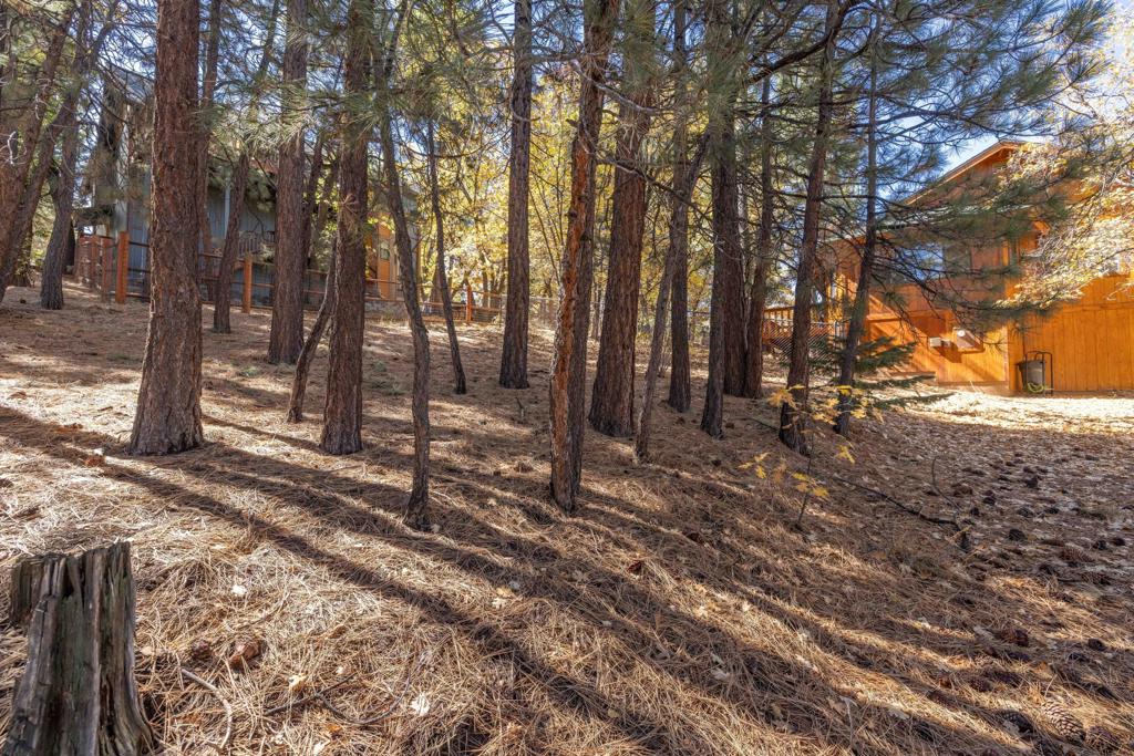 1409 Klamath Road Property Photo 8