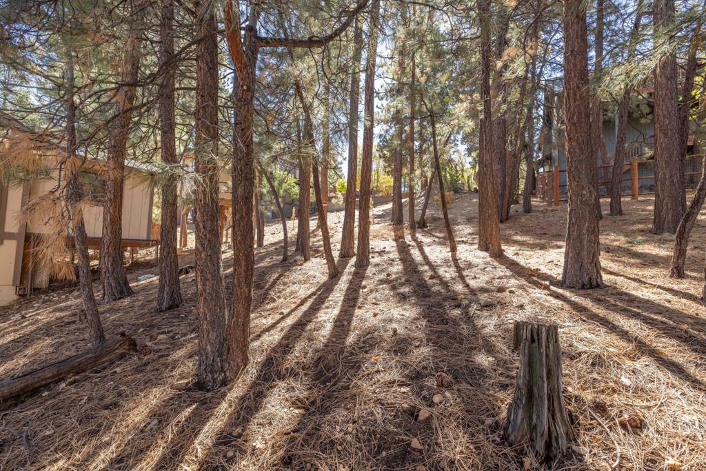 1409 Klamath Road Property Photo 9