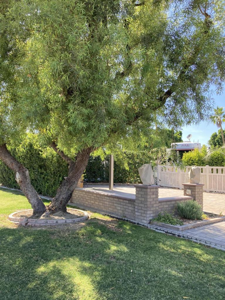 69411 Ramon Road 737 Property Photo 6