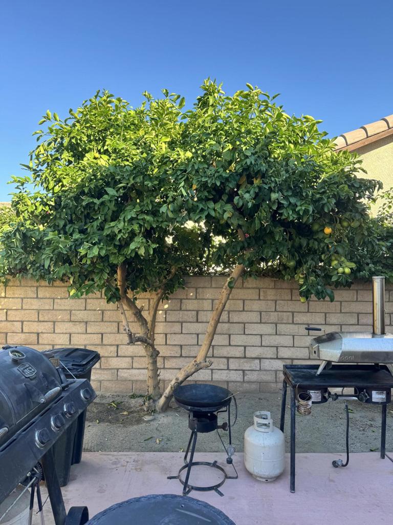 82774 Matthau Drive Property Photo 7