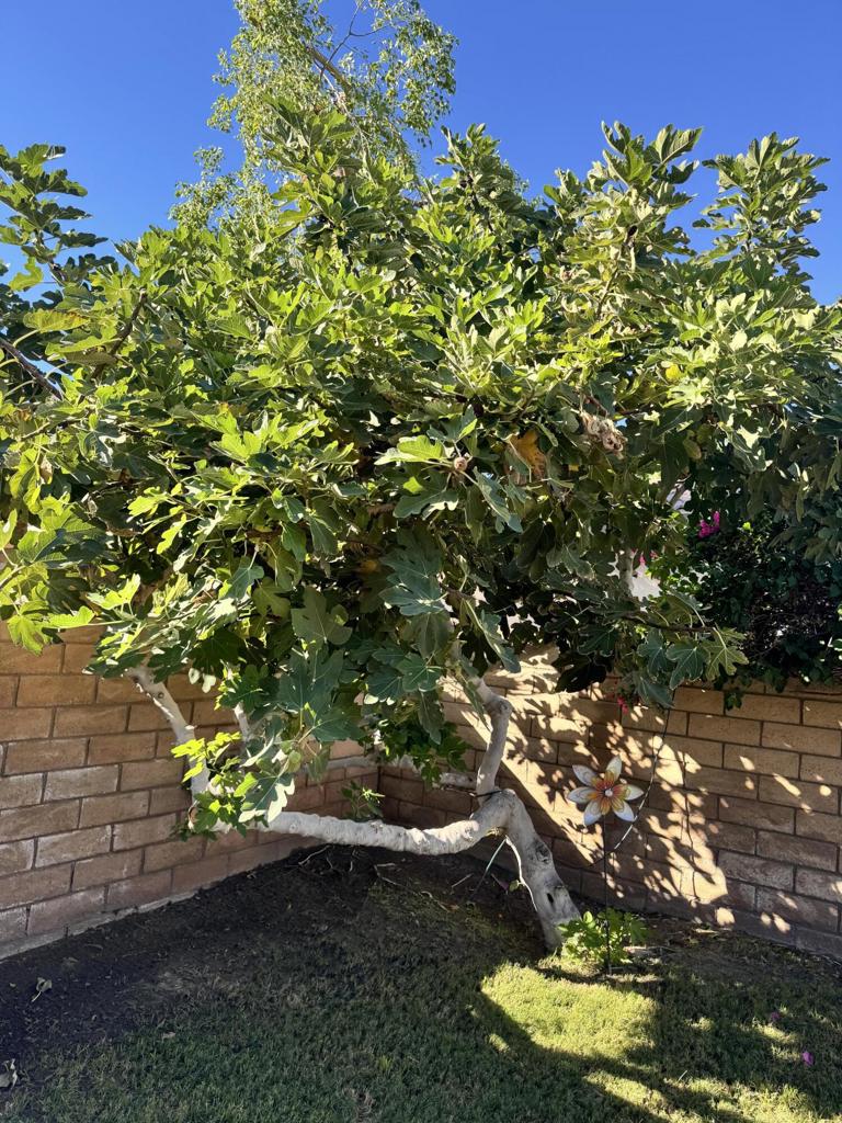 82774 Matthau Drive Property Photo 8