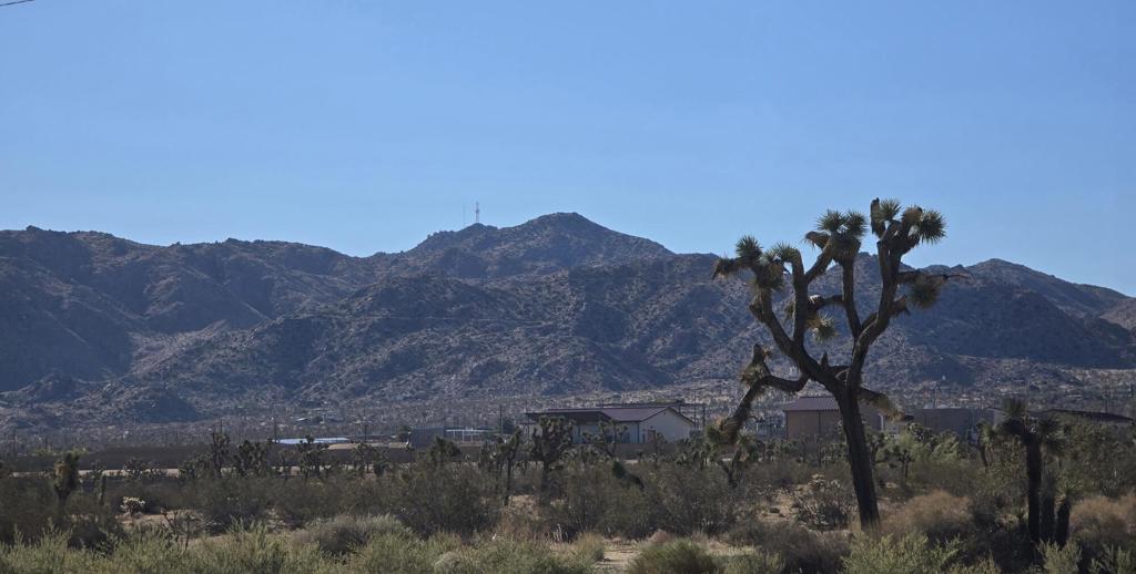 6414 Indio Avenue Property Photo 8