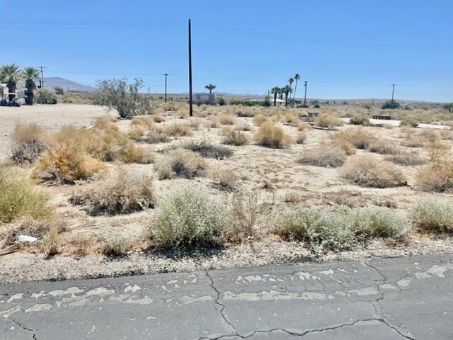 0 Palm Avenue Property Photo 3