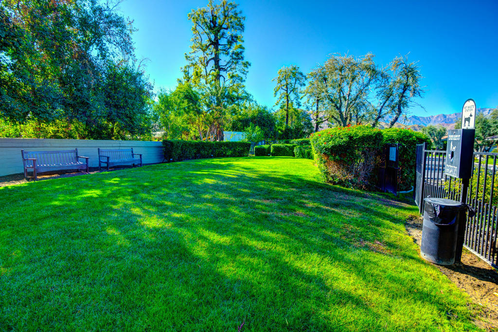 12 Sussex Court Property Photo 31