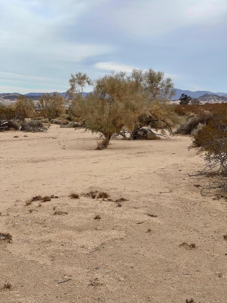Canyon Road Property Photo 2