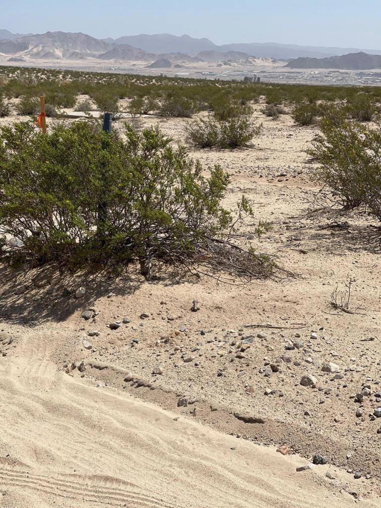 Canyon Road Property Photo 3