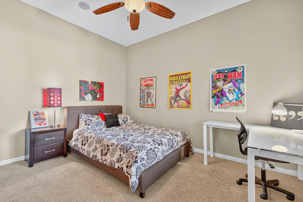 35831 Raphael Drive Property Photo 17