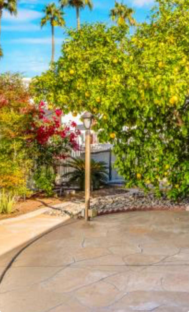 69411 Ramon Road 691 Property Photo 14