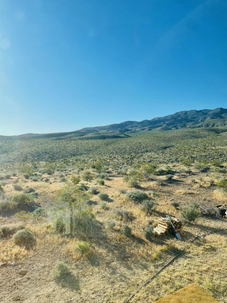 7077 Camp Rock Road Property Photo 8