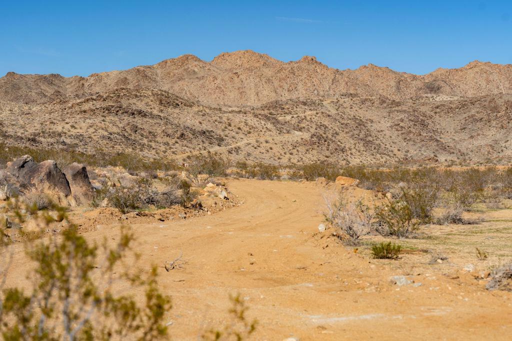 61271 Calle Los Amigos Property Photo 81
