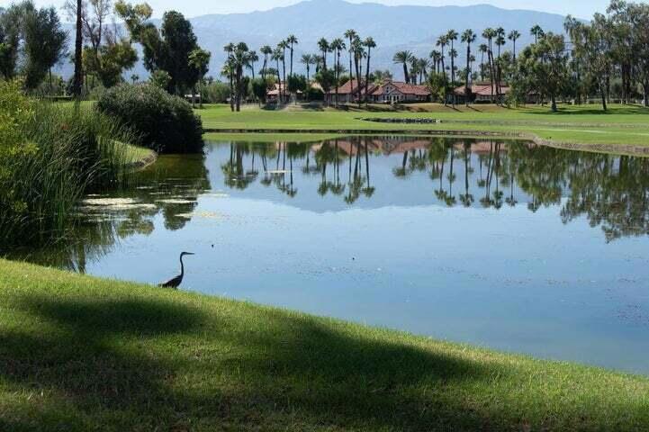 189 Desert Falls Circle Property Photo 35