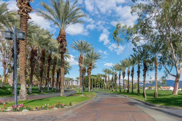 413 Desert Falls Drive N Property Photo 33