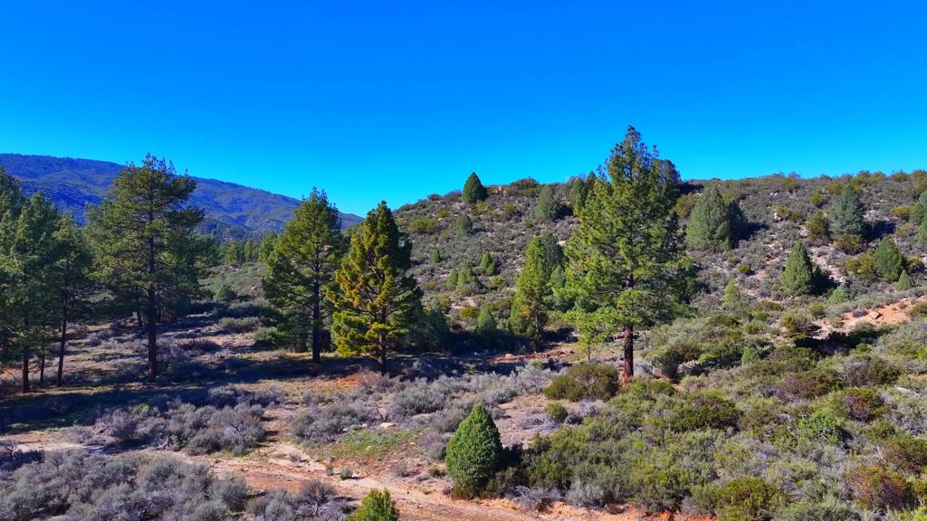 1 Butterfly Peak Road Property Photo 1