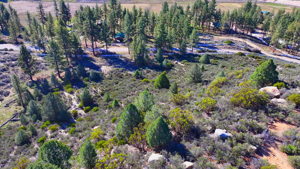 1 Butterfly Peak Road Property Photo 5