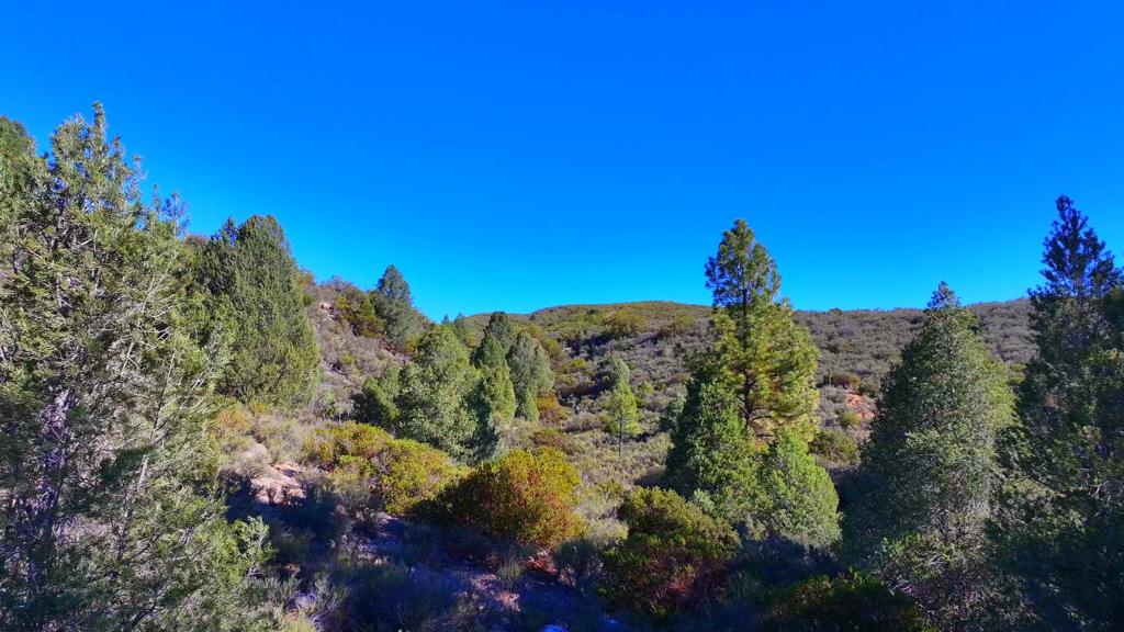 1 Butterfly Peak Road Property Photo 6