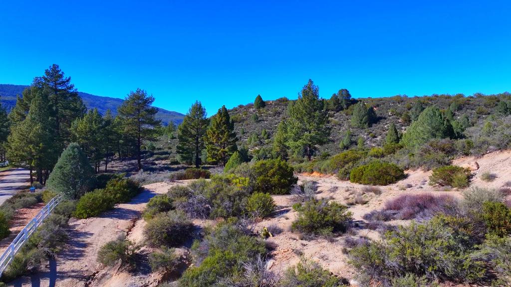 1 Butterfly Peak Road Property Photo 7