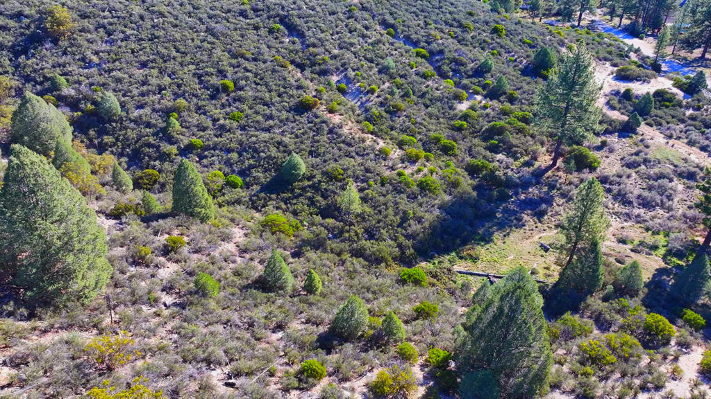 1 Butterfly Peak Road Property Photo 9