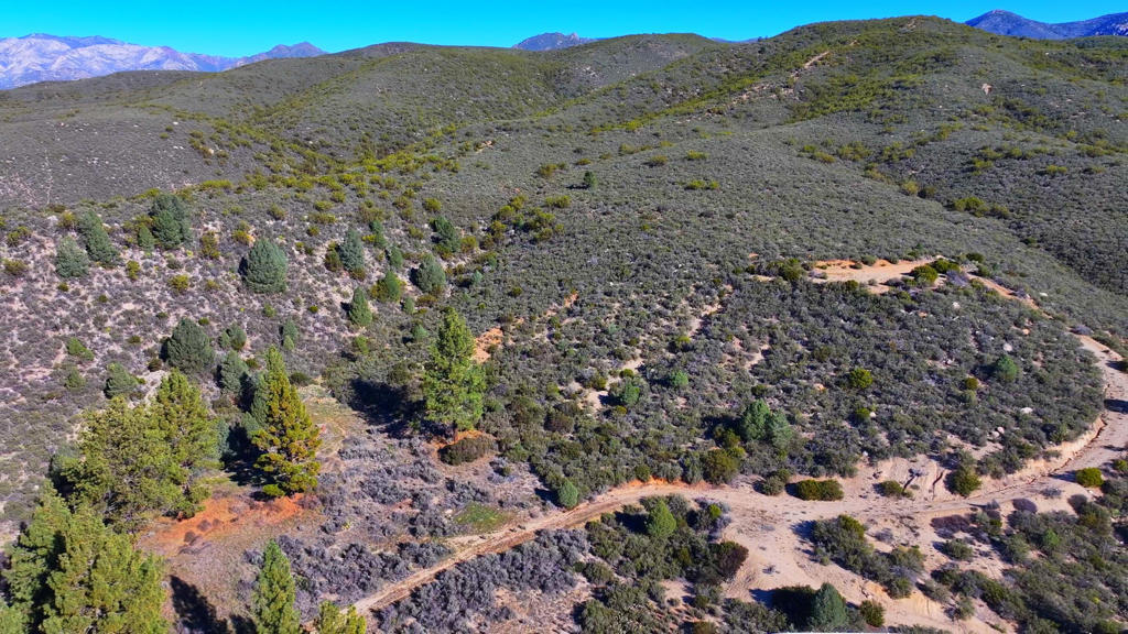 1 Butterfly Peak Road Property Photo 11