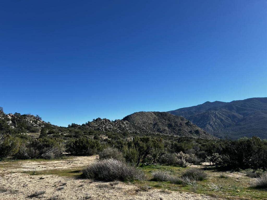0 Apn# 635 393 007 Property Photo 4