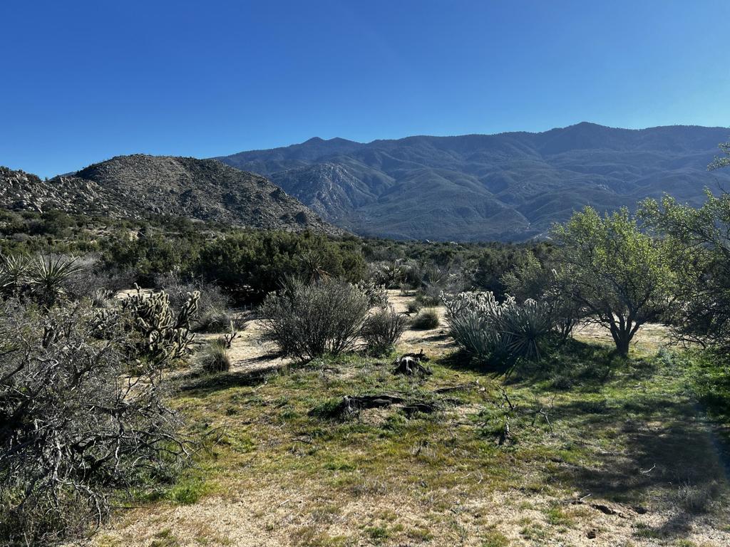 0 Apn# 635 393 007 Property Photo 11