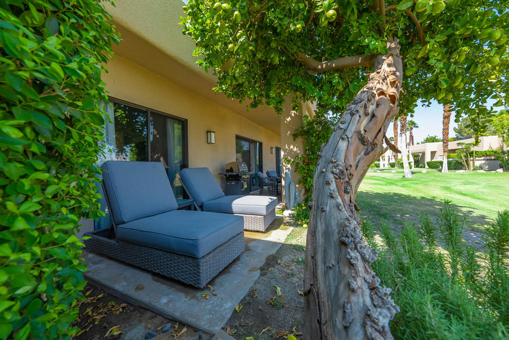 29118 Desert Princess Drive 702 Property Photo 19