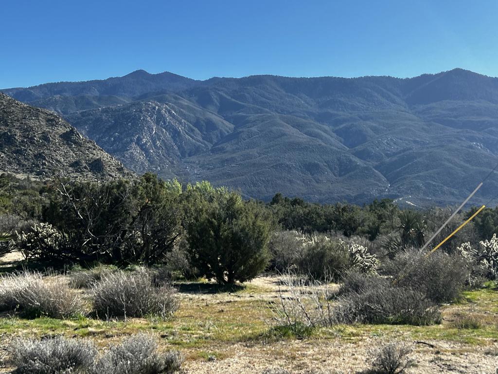 0 Apn# 635 393 009 Property Photo 14