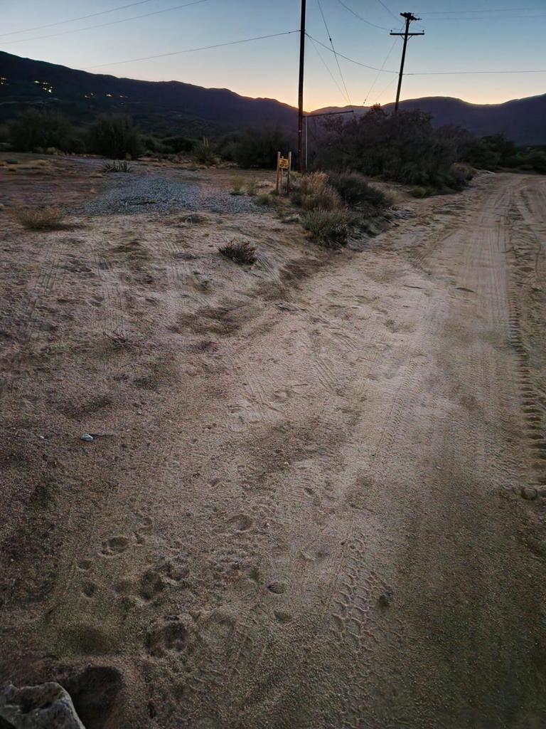 0 Glacier Pass Property Photo 3