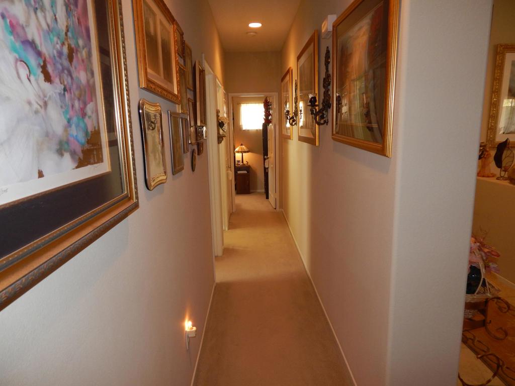8796 Matterhorn Court Property Photo 22