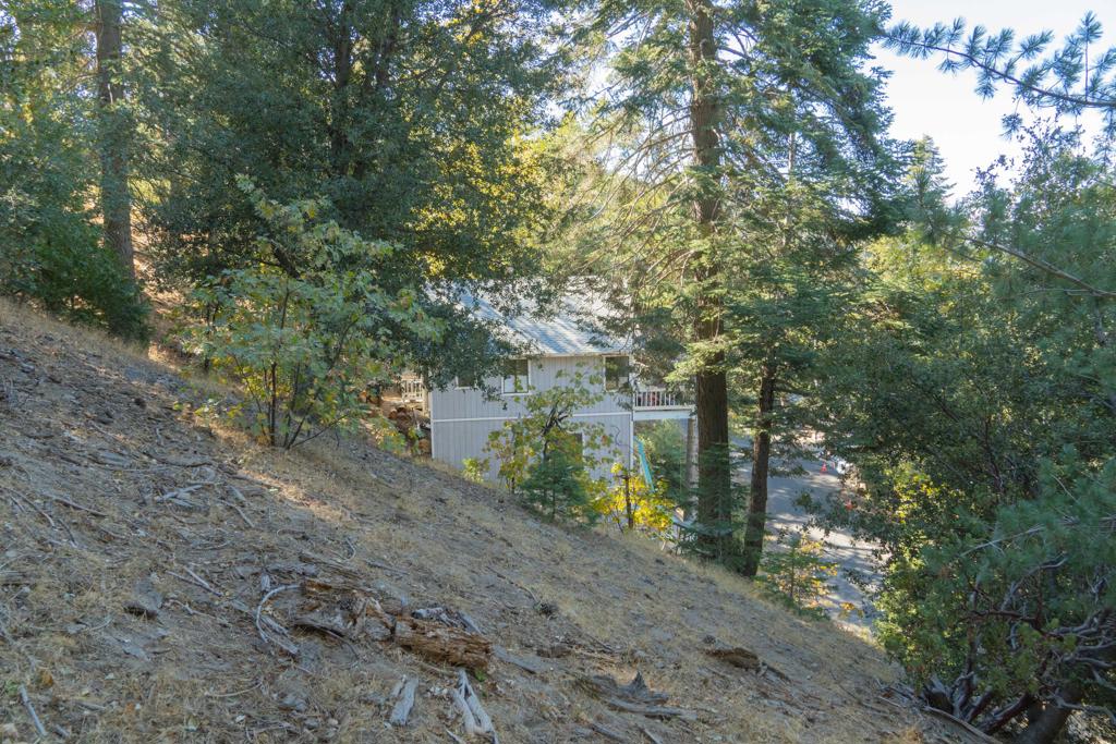 0 Arbula Drive Property Photo 9