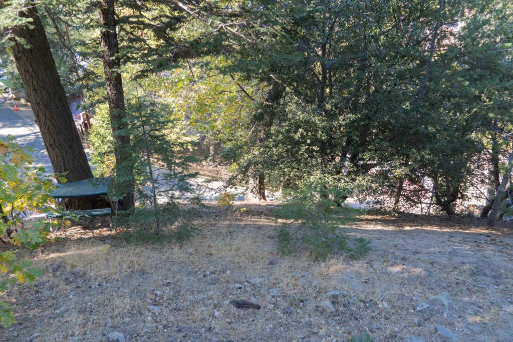 0 Arbula Drive Property Photo 10
