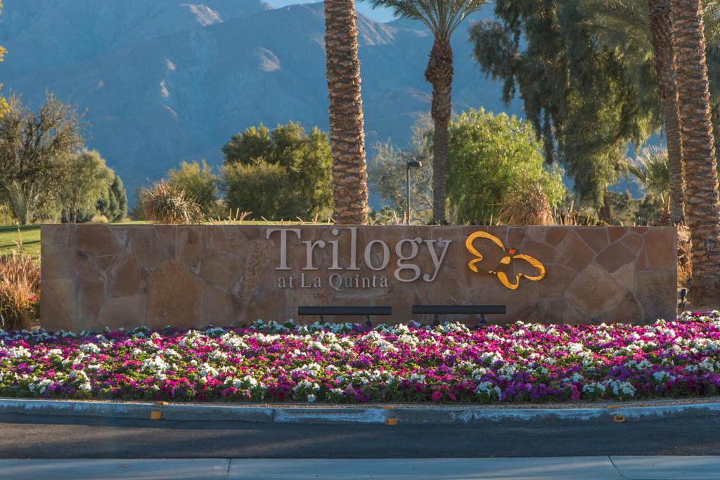 60460 Desert Rose Drive Property Photo 16