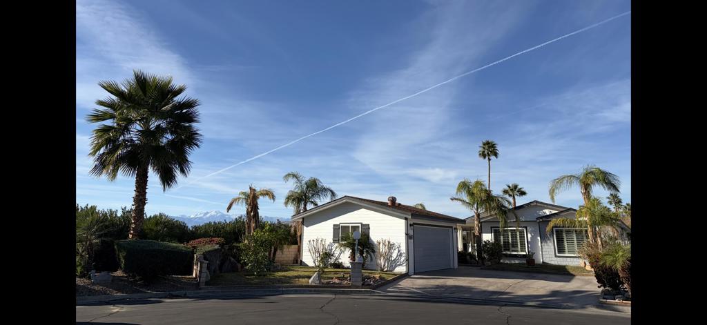 74626 Mexicali Rose Property Photo 1