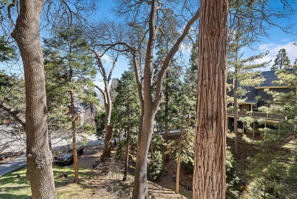 27282 Bernina Drive Property Photo 27