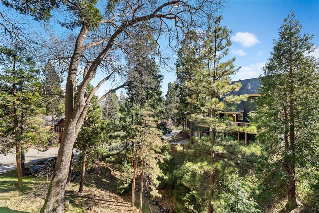27282 Bernina Drive Property Photo 28